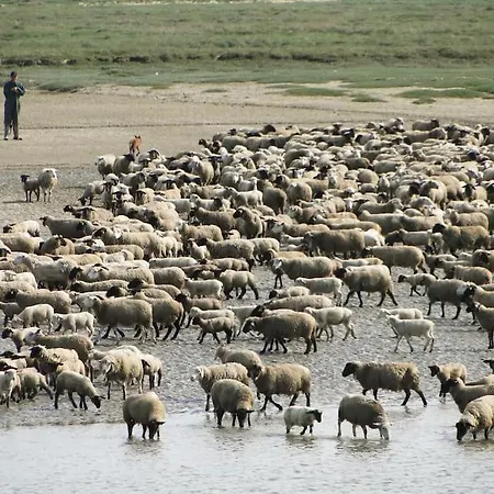 Apartmán La Longere En Baie - Au Calme Sur Valery Pour 4 Saint-Valéry-sur-Somme