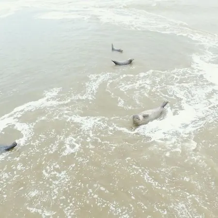 La Longere En Baie - Au Calme Sur Valery Pour 4 דירה סן-ואלרי-סור-סום
