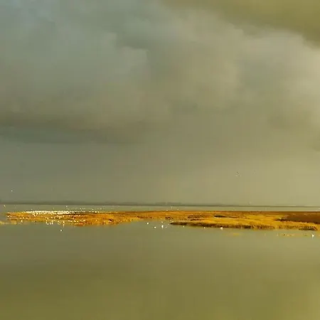 La Longere En Baie - Au Calme Sur Valery Pour 4 דירה סן-ואלרי-סור-סום