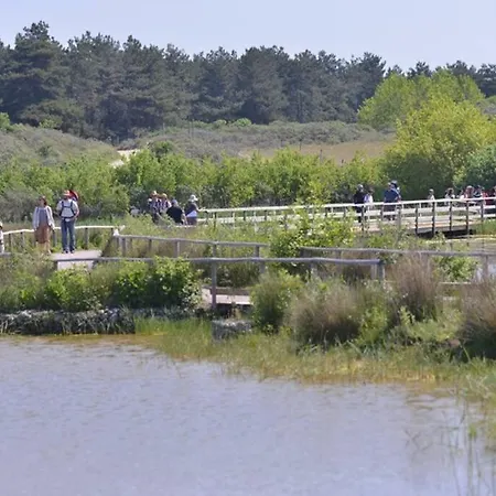 La Longere En Baie - Au Calme Sur Valery Pour 4 דירה *