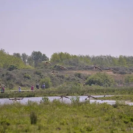 La Longere En Baie - Au Calme Sur Valery Pour 4 * סן-ואלרי-סור-סום