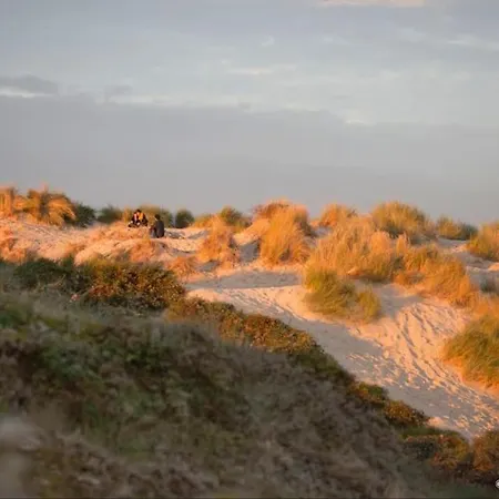 דירה La Longere En Baie - Au Calme Sur Valery Pour 4 *