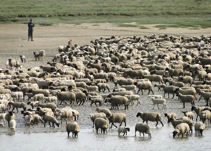 Apartmán La Longere En Baie - Au Calme Sur Valery Pour 4 Saint-Valéry-sur-Somme